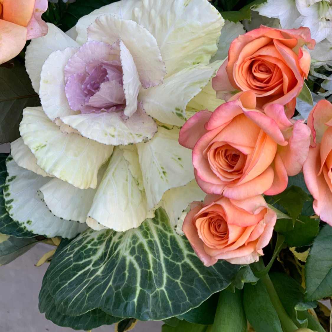 Juicy Peach - Herbivore Florals