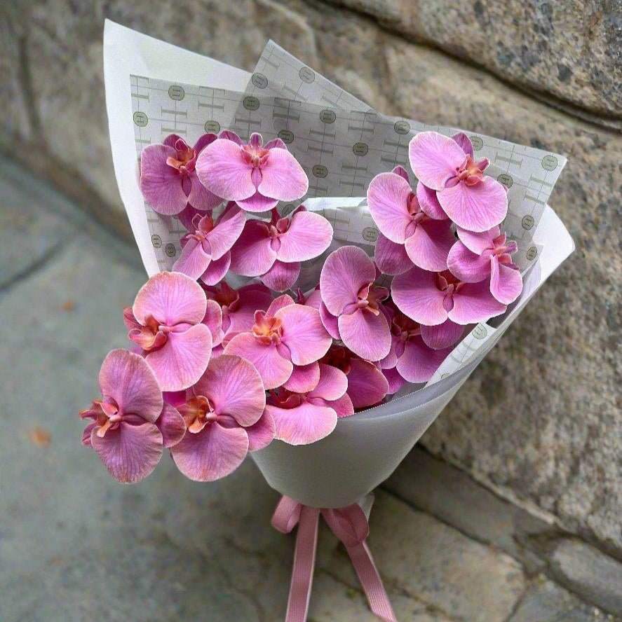 Small bunch of purple and pink phalaenopsis orchids