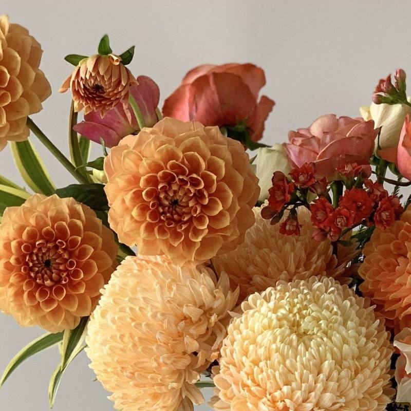 Tangerine - Herbivore Florals