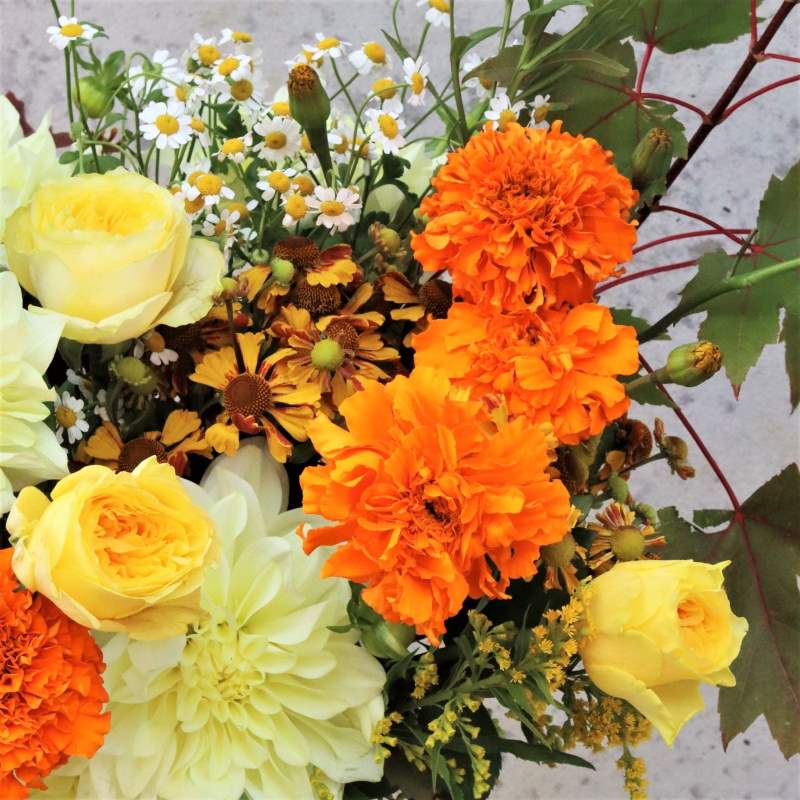 The Yarraville - Herbivore Florals