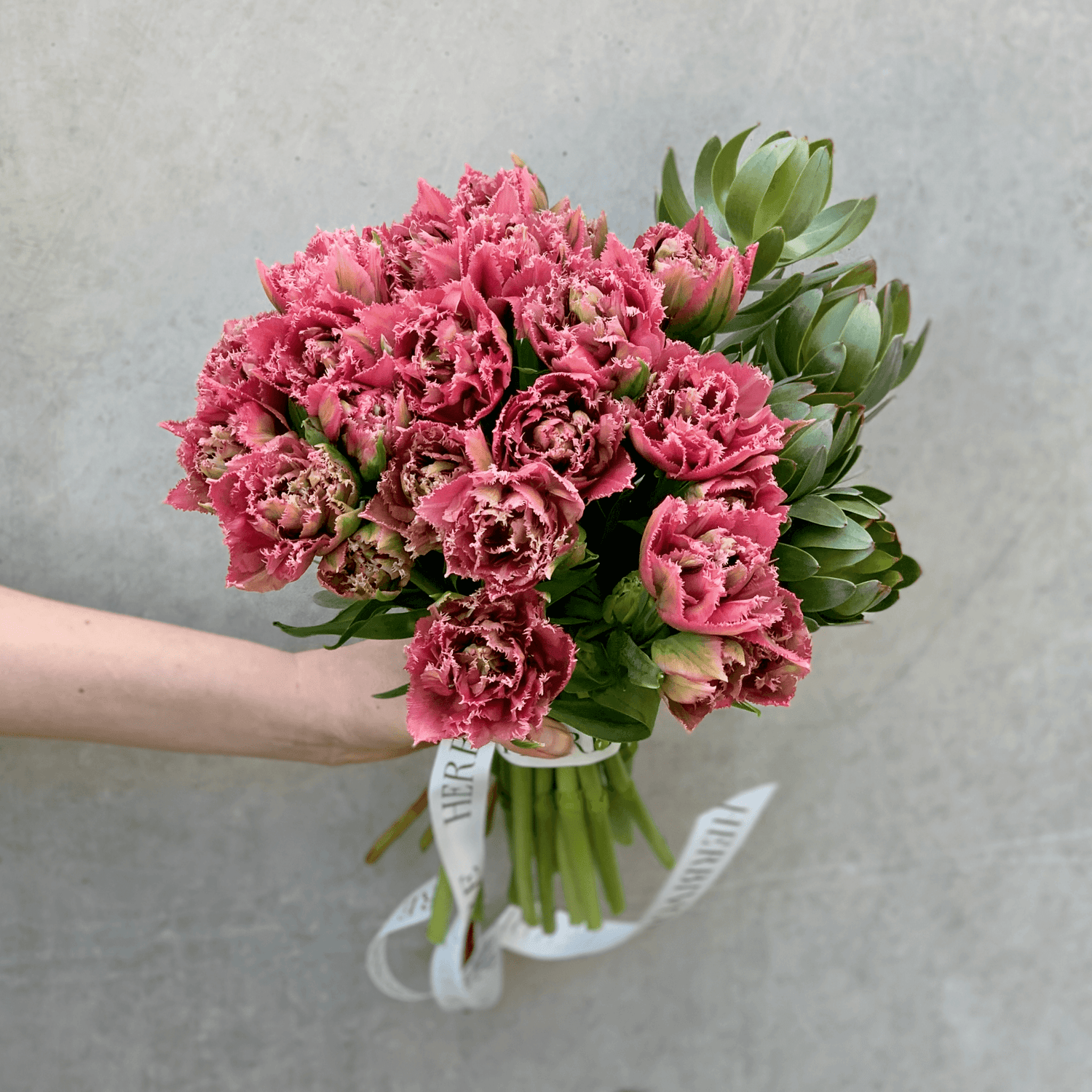 Tulips - Herbivore Florals