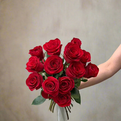 Large bunch of a dozen red roses tied in a bouquet for Valentines Day