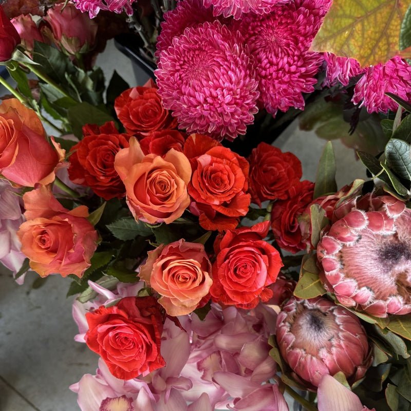 Coral Berry - Herbivore Florals