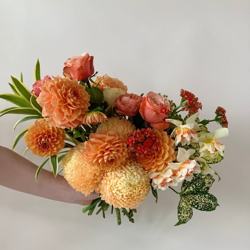 Tangerine - Herbivore Florals
