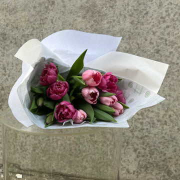 Tulips