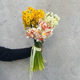 Mixed Bulbs
