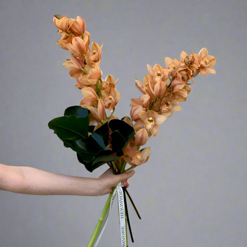 Cymbidium orchid display, bronze colour