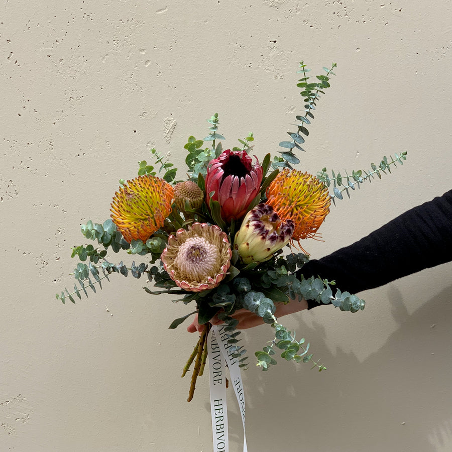 Bouquet of assorted protea flowers.
