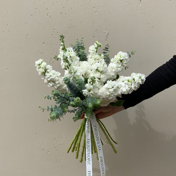 Bouquet of white stock flowers.