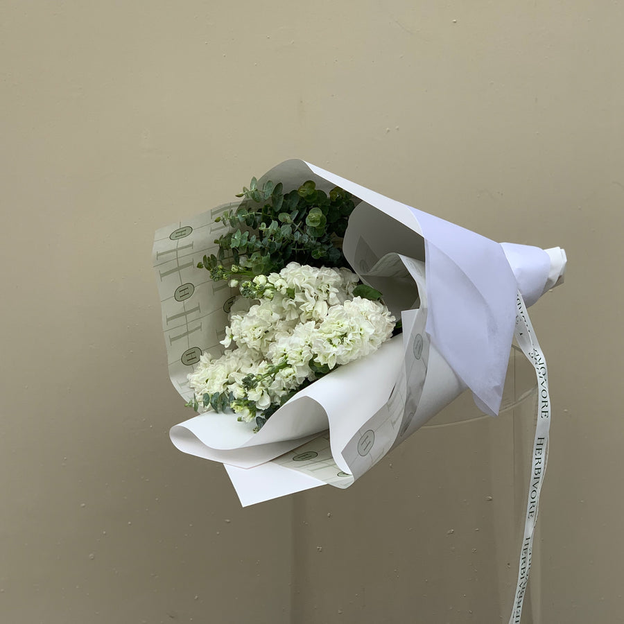 Bouquet of white stock flowers gift wrapped