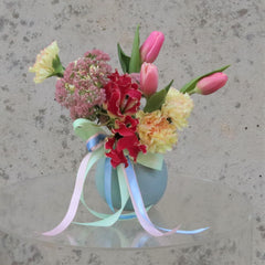 Melbourne Tulips