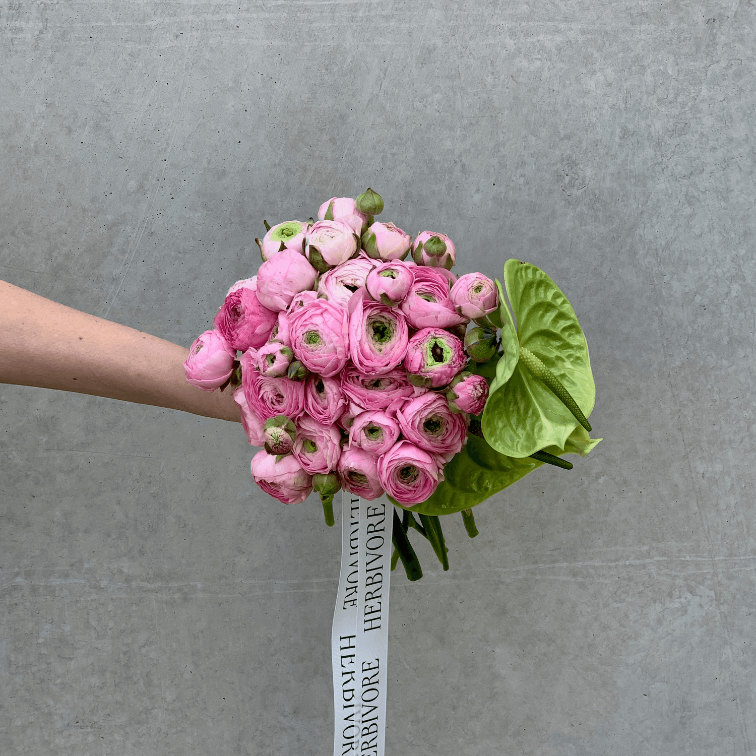 Pink ranunculus posy