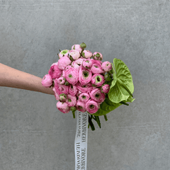 Pink ranunculus posy