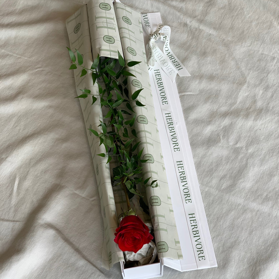 A single red rose presented in a white gift box.
