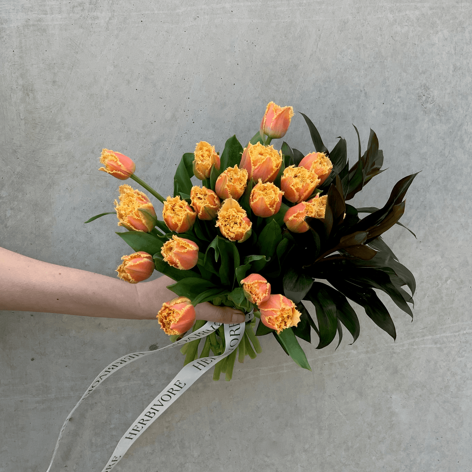 Tulips - Herbivore Florals